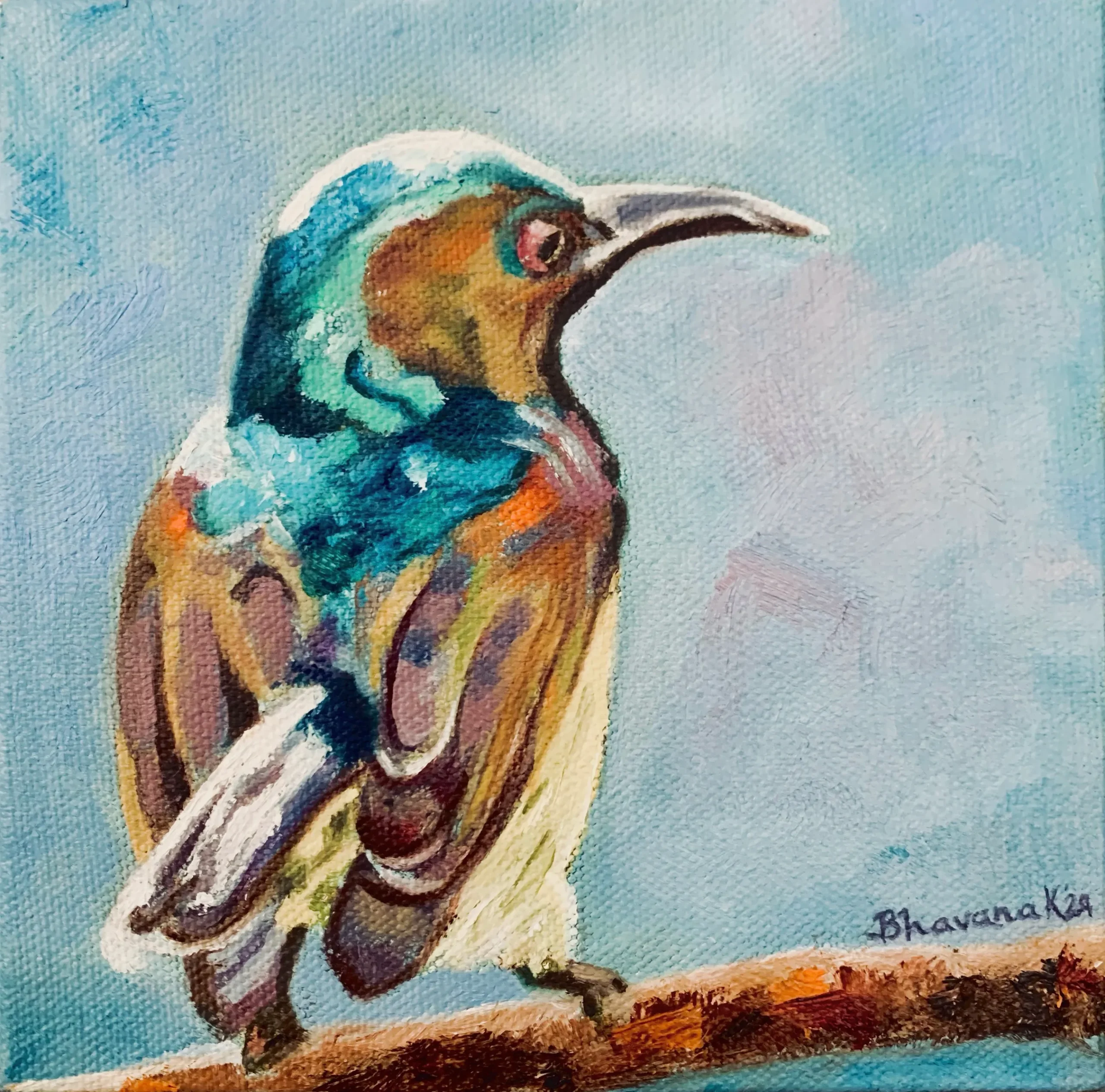 brown-throated-sun-bird