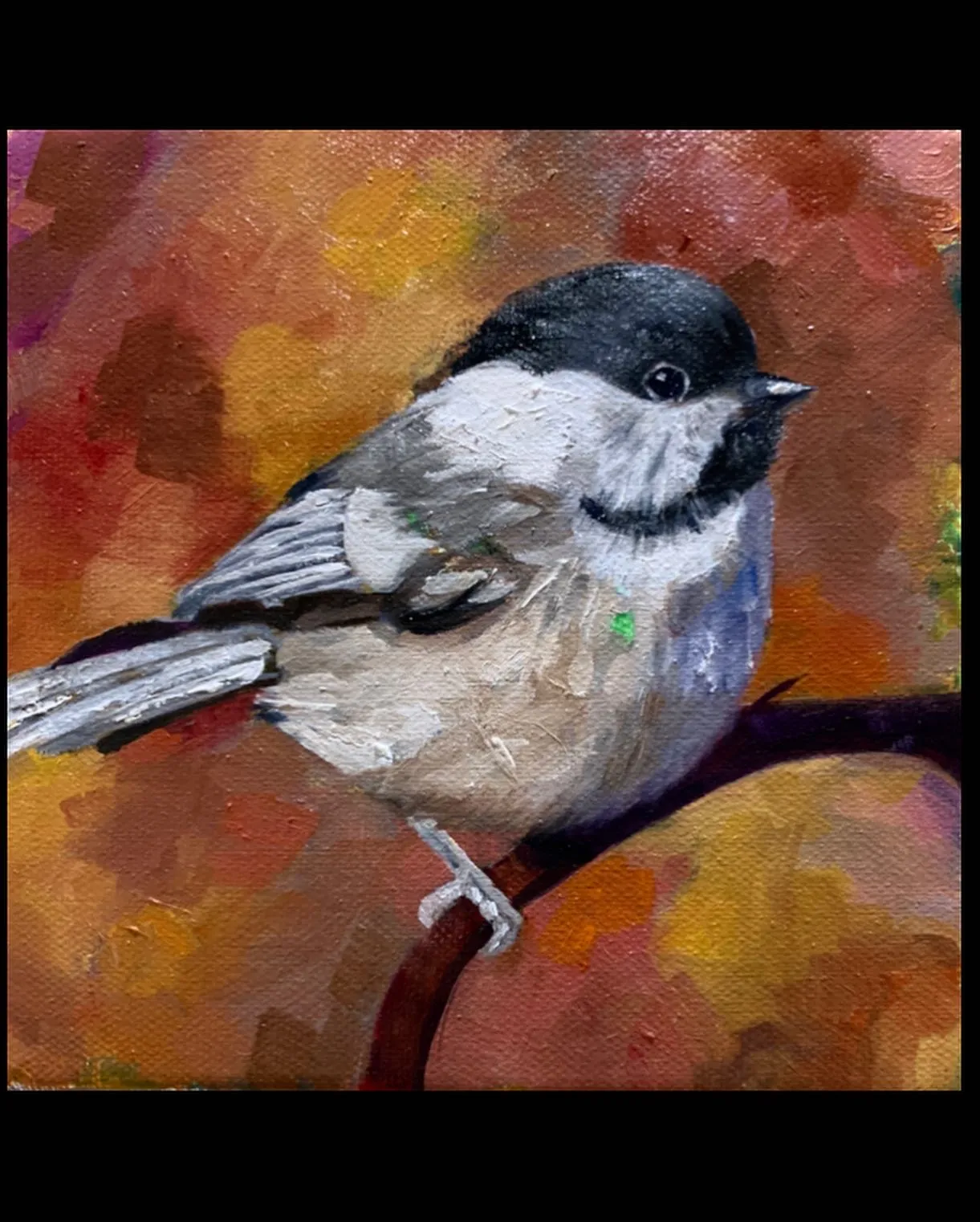 chickadee