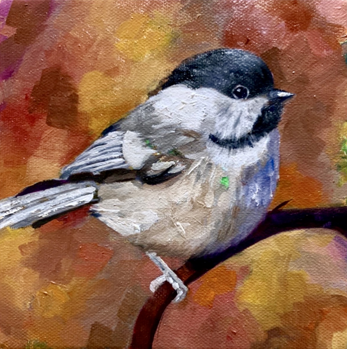 chickadee